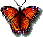 DANCELAND Butterfly Logo